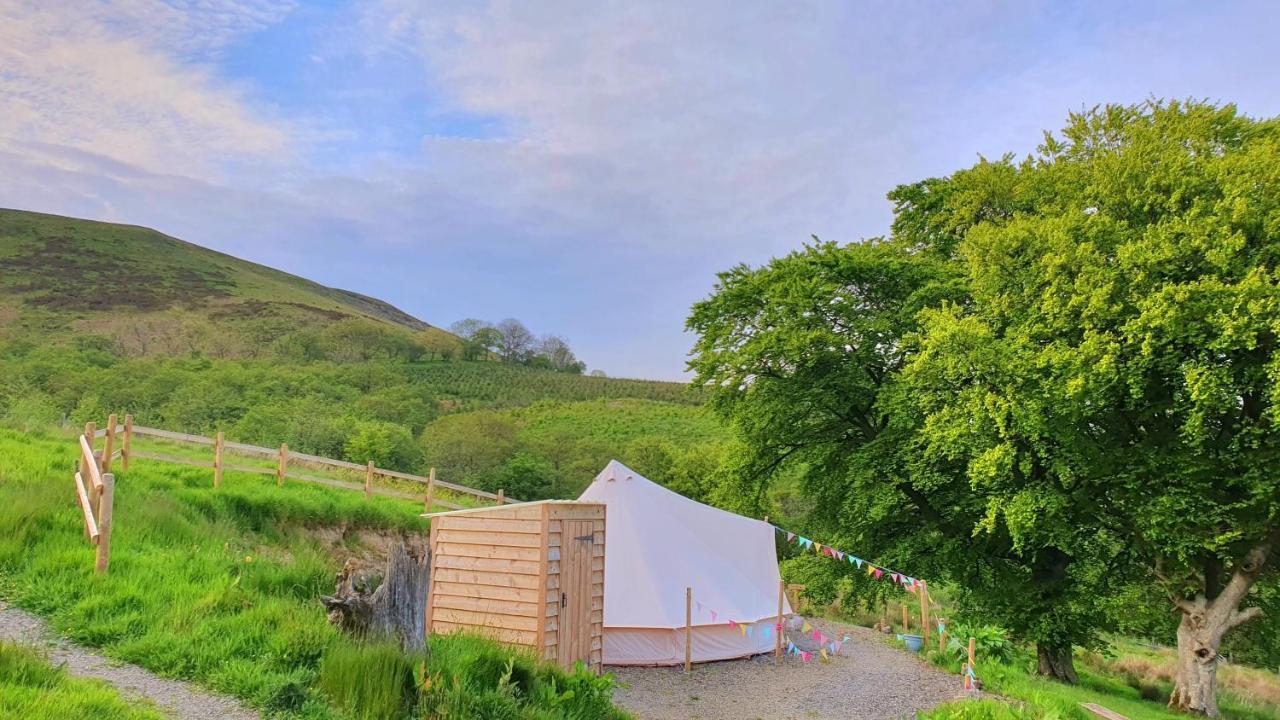 Готель Calon Y Goedwig Glamping Лландовері Екстер'єр фото