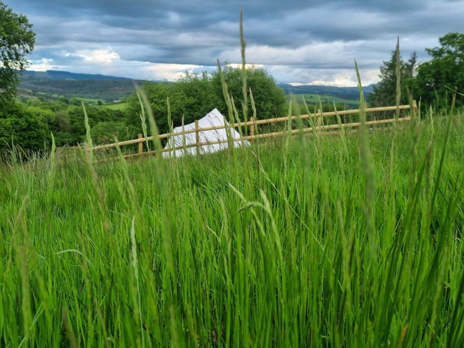 Готель Calon Y Goedwig Glamping Лландовері Екстер'єр фото